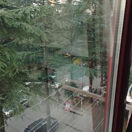Apartment Ge Zvezda Batumi Luaran gambar